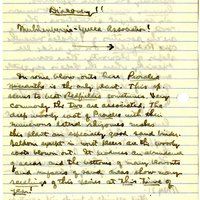 Raymond J. Pool Field Notes and Records