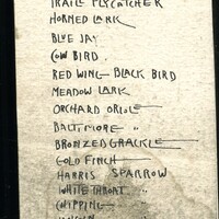 Frank H. Shoemaker handwritten composite list of birds, 5 pages, seen at Salt Basin, Lincoln, Nebraska.