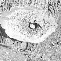 Original caption: Woodland, North of Salt Lake diseased Box elder-section of trunk.Mar. 3, 1922