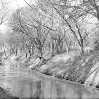 Salt Creek: Branson Woods, icebound. Nov. 13, 1920. Lancaster County. Frank H. Shoemaker (321301-A1208)