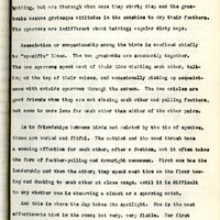 Frank H. Shoemaker typescript, 23 pages, on the bird-room in Omaha home