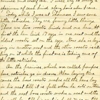 Handwritten 4 page letter from Lawrence Bruner to Helen Bruner, "I forgot to say in my letter to Mamma that I am so glad to hear that all of you have been so well."