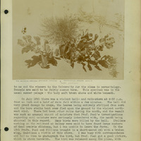 Frank Shoemaker, Narratives, Thomas County, July 3-11, July 27-30, 1911