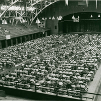 The Coliseum- Inside